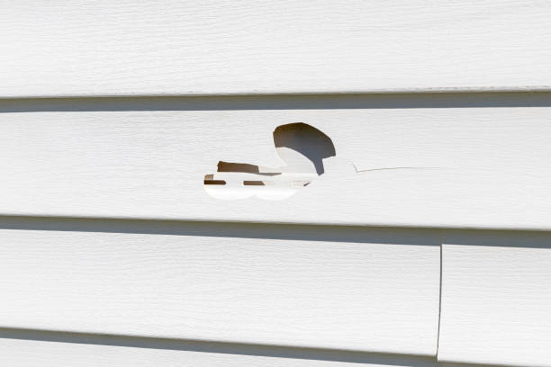 Professional Siding Installation in Bradley, IL